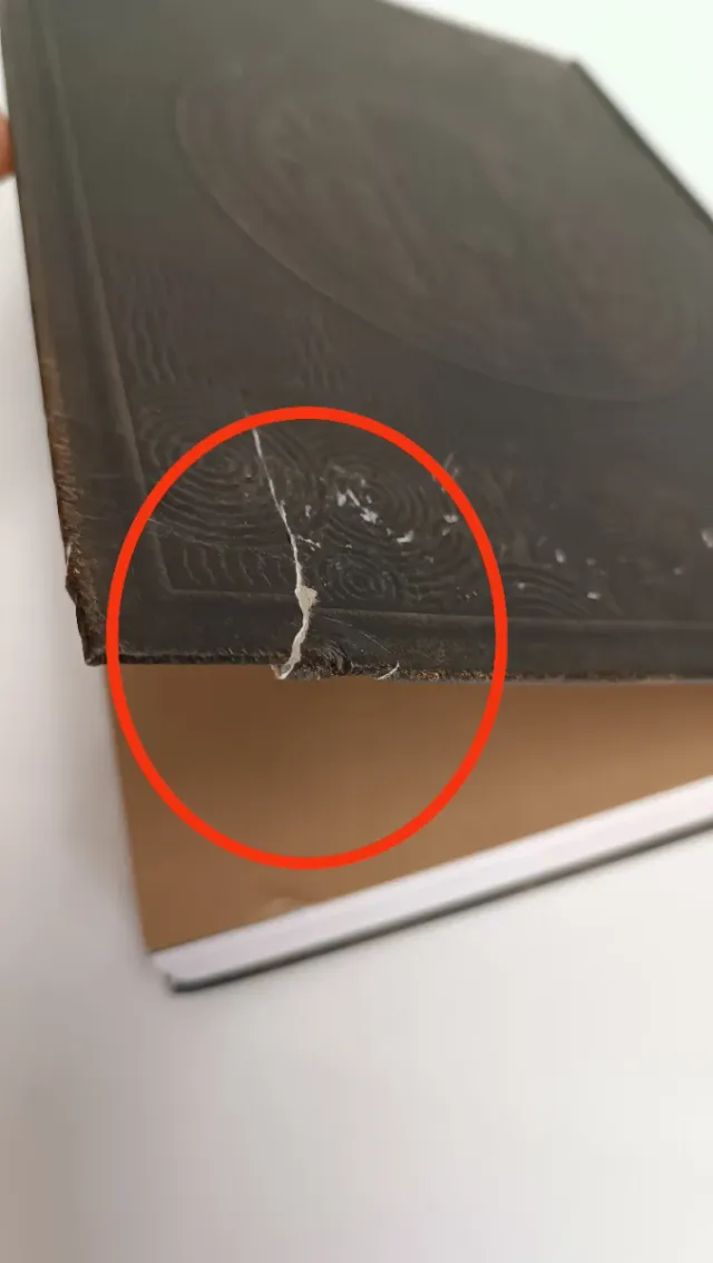 La Leggenda di Zelda F4Y2515