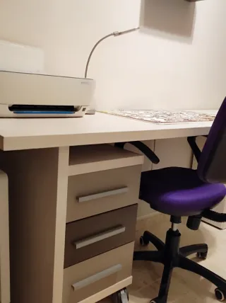 Escritorio con cajonera y estanterías