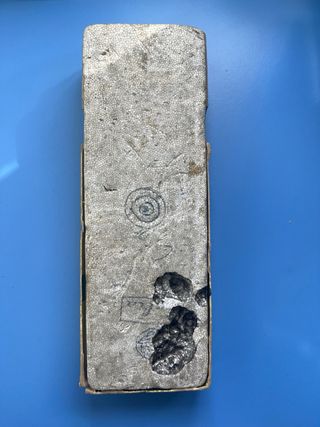 Flauta Mollenhauer Sopran C