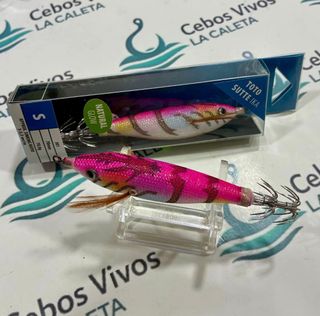 Jibionera Vega Toto Sutte