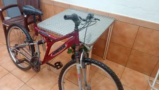 Se venden dos bicis de diferente tamaño