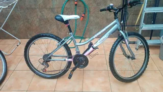 Se venden dos bicis de diferente tamaño