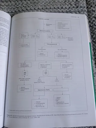 Libro problemas clínicos en neumología Vol 1