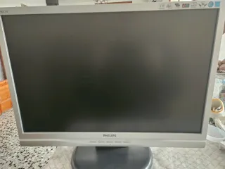 Monitor Philips Pantalla Plana PC 19 pulgadas