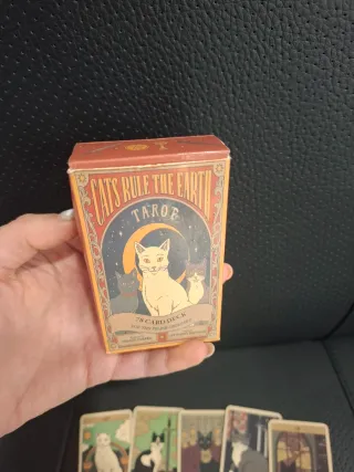 Carte Tarot Gatti