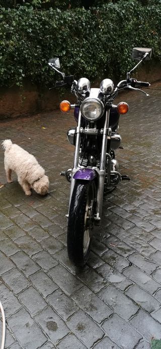 Yamaha Virago 1100 Cruiser