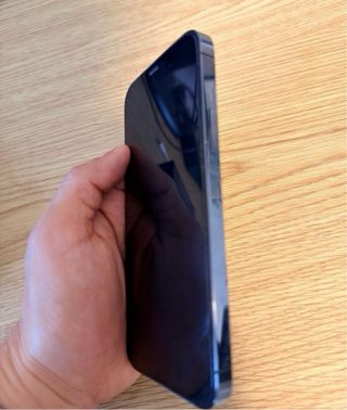 iPhone 12 Pro 256GB Space Gray 100 salud