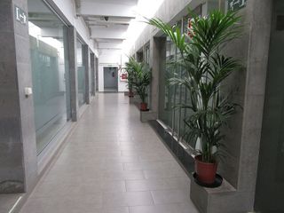 Oficina en alquiler en Ciudad Jardín en Palmas de Gran Canaria(Las)