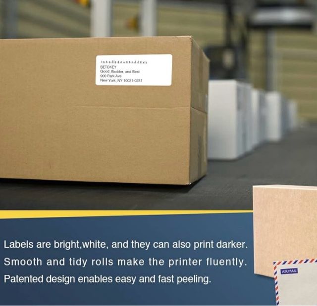 20 Rollos Etiquetas BETCKEY DK-11208 Precortadas