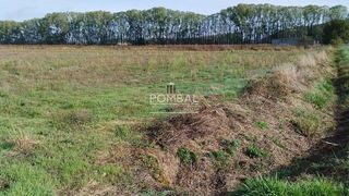 Terreno en venta en Xinzo de Limia