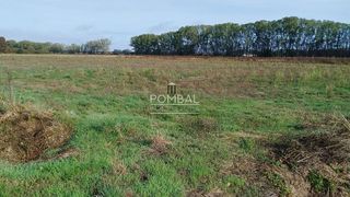 Terreno en venta en Xinzo de Limia