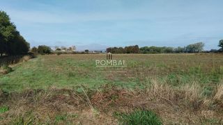 Terreno en venta en Xinzo de Limia