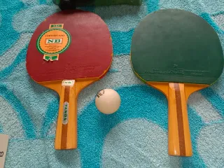 Raquetas Ping Pong y Red