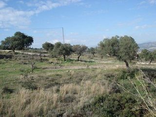 Terreno en venta en Centro en Alhaurín de la Torre