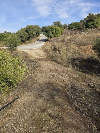 Terreno en venta en Centro en Alhaurín de la Torre