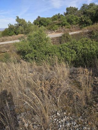 Terreno en venta en Centro en Alhaurín de la Torre
