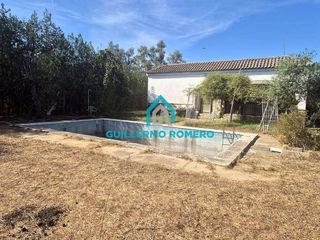 Casa rural en venta en Puebla del Río (La)