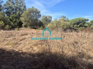 Casa rural en venta en Puebla del Río (La)