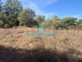 Casa rural en venta en Puebla del Río (La)