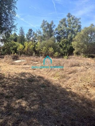 Casa rural en venta en Puebla del Río (La)