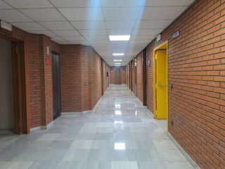 Oficina en alquiler en El Juncal - Av. de la Paz en Sevilla