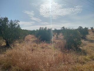 Terreno en venta en Sanlúcar la Mayor