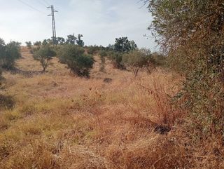 Terreno en venta en Sanlúcar la Mayor