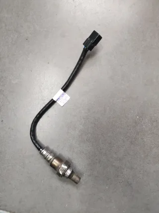 Sonda de oxígeno Triumph Tiger