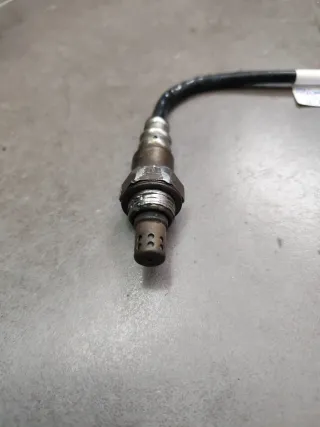 Sonda de oxígeno Triumph Tiger