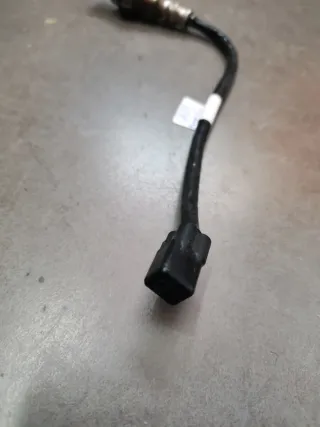 Sonda de oxígeno Triumph Tiger