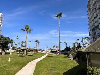 Estudio en alquiler en Torrequebrada en Benalmádena