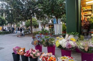 Piso en alquiler en Alfalfa en Sevilla