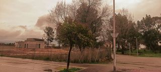 Terreno en venta en Almansa