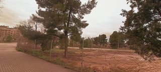 Terreno en venta en Almansa