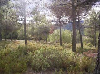 Terreno en venta en Alcoy/Alcoi