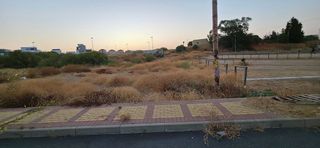 Terreno en venta en Ayamonte ciudad en Ayamonte