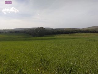 Terreno en venta en Vejer de la Frontera