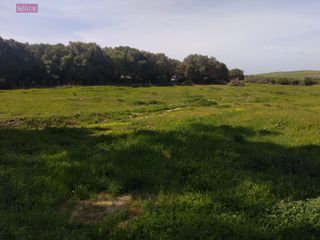 Terreno en venta en Vejer de la Frontera