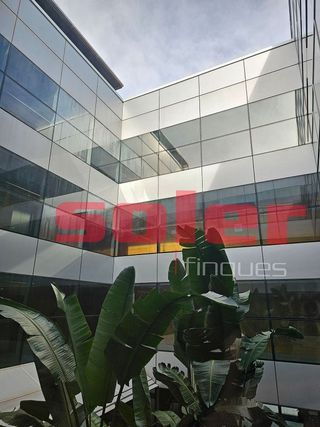 Oficina en alquiler en Coll Favà - Can Magí en Sant Cugat del Vallès