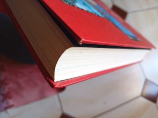 2x el libro rojo C.G.Jung facsímil ybernando nante