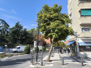 Piso en venta en Centro en Arganda del Rey