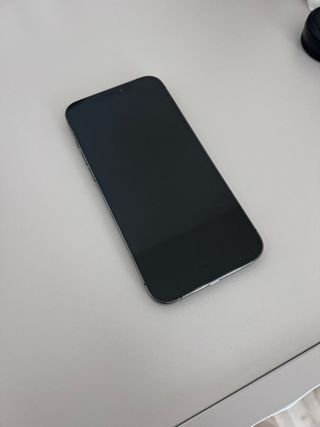 iPhone 12 Pro Max 256GB Gris