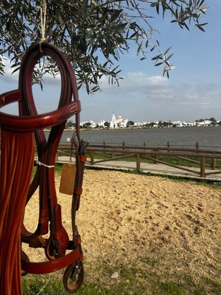 Cabezal y protectores de cuero y campanas