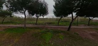 Terreno en venta en Camì Paterna-Lloma del Calderer en Bétera