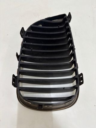Riñones BMW Serie 1 Rejillas Paragolpes