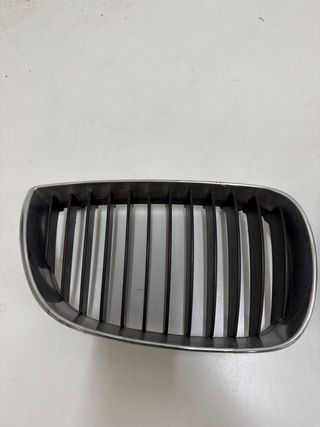 Riñones BMW Serie 1 Rejillas Paragolpes