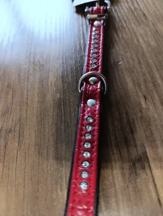 Collare Hunter Rosso con Strass