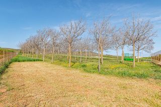 Terreno en venta en Padul