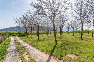 Terreno en venta en Padul