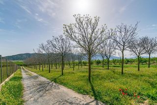 Terreno en venta en Padul